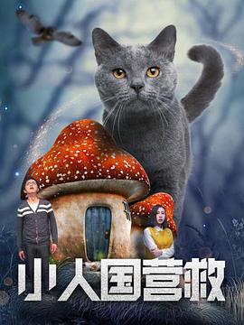 国产成人精品视频免费大全